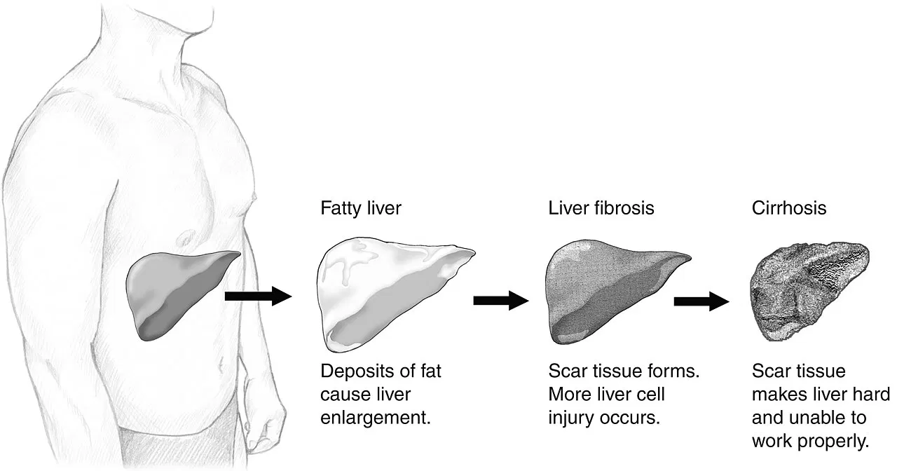 Comprehensive Monitoring and Glucose Assessment