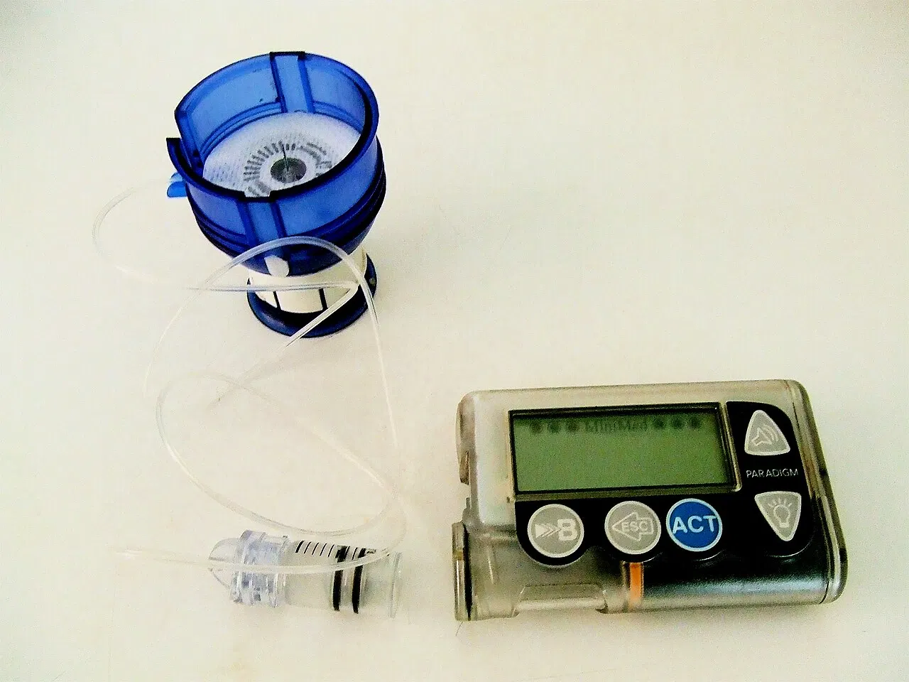 Strategies for Managing Post-Meal Blood Sugar